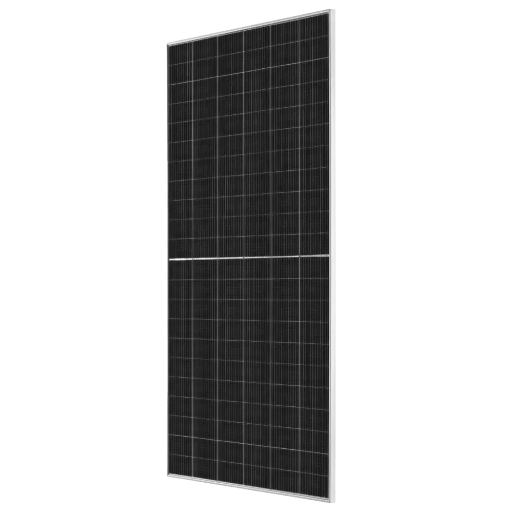 Tongwei 625Wp TWMNH-66HD625W N-type Bifacial silver frame solar panel