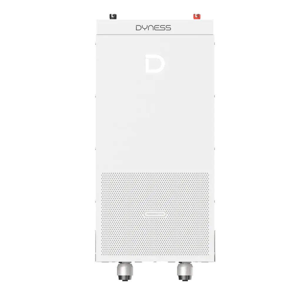 Dyness Powerbrick Plus 16.07kWh LV Heated energy storage